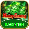 bass fish Live Turbo v2.4.0