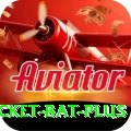 cricket bat Supreme v5.4.2