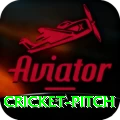 cricket pitch - Master v3.6.9