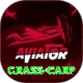 grass carp Super Rewards