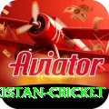 india pakistan cricket Official v4.5.0