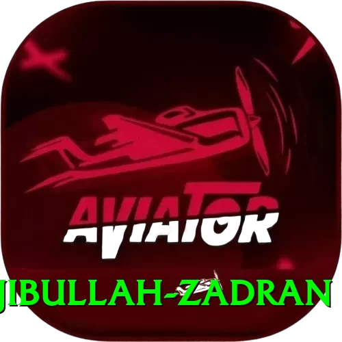 najibullah zadran - VIP Plus - 2