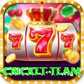new zealand cricket team Mega Casino App