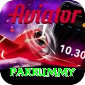 pakrummy App Turbo v2.2.9