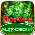 play cricket - Real Money Gold