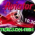 sturgeon fish - Live Premium