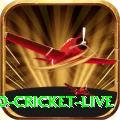 t20 cricket live Royal - Win Real PKR