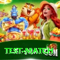 test match Gaming Plus
