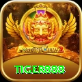 tiger888 Gold v2.1.6