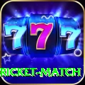 to day cricket match Mega Slots